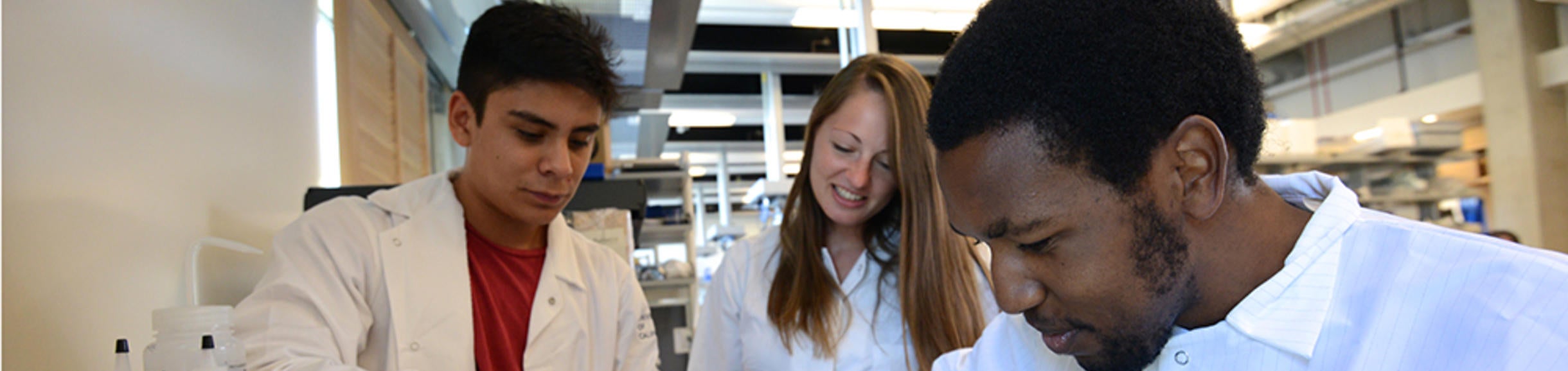 biomed cell sorter